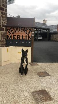 Residence Merlin Appart Des Druides Saint-Malon-sur-Mel المظهر الخارجي الصورة